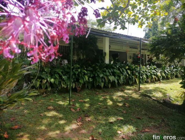 Finca Vereda Veraguas de 3 hectáreas – Oportunidad! - Finca en Melgar, Tolima
